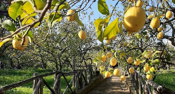 ColorViaggiphotos (2)