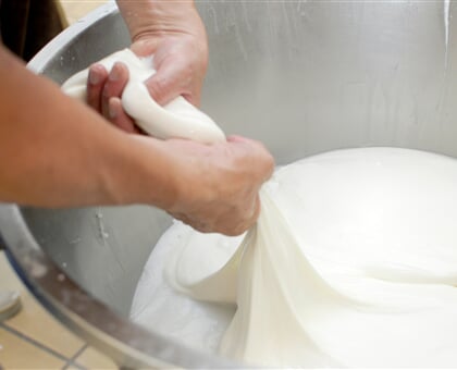 ivan pergasi ML31f7FW5wY unsplash