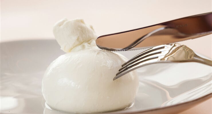 klara kulikova x6 nIirpjKc unsplash