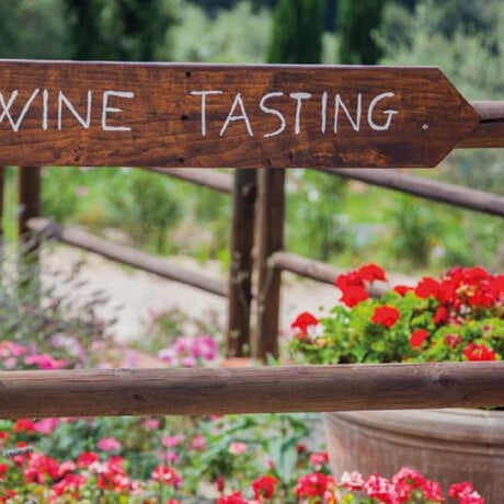 Brunello di Montalcino: Cesta za nejlepším vínem světa