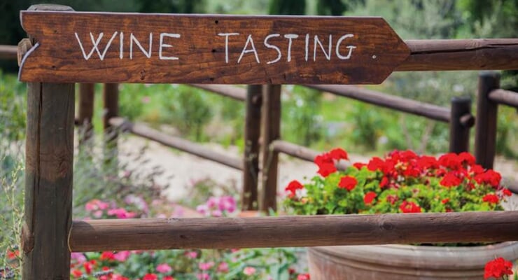 Brunello Wine Tour My Tour (6)