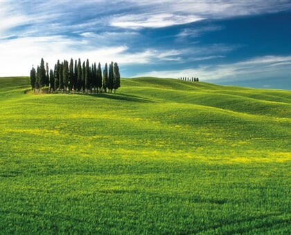 Brunello Wine Tour My Tour (7)