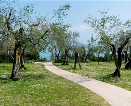 ivanna vinnicsuk SAkbaRsnEEg unsplash