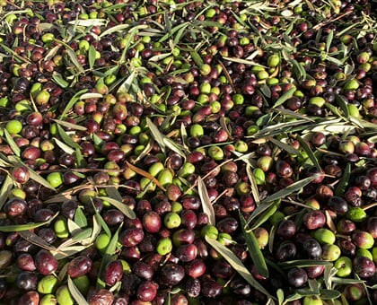 john cameron WCyjPJBzSAU unsplash