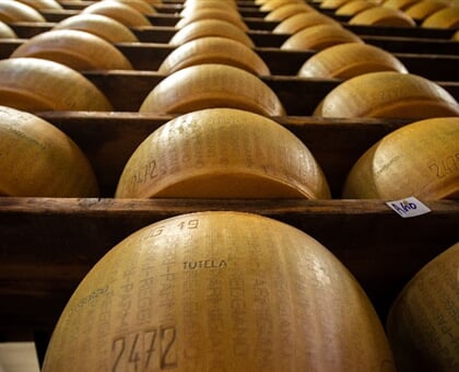 Parmigiano Reggiano and Parma Ham Tour My Tour (6)