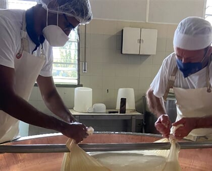 Parmigiano Reggiano and Parma Ham Tour My Tour (7)