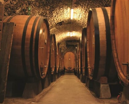 Brunello Wine Tour My Tour (9)