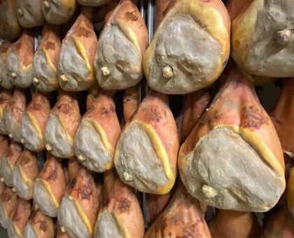 Parmigiano Reggiano and Parma Ham Tour My Tour (9)