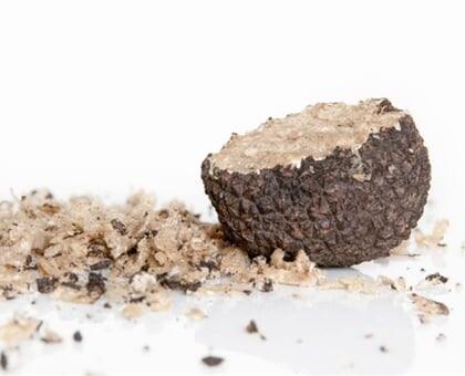 Private Truffle Experience My Tour (1)