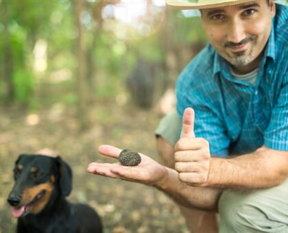 Private Truffle Experience My Tour (4)