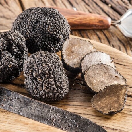 Privátní lov lanýžů: Exkluzivní den v srdci Toskánska