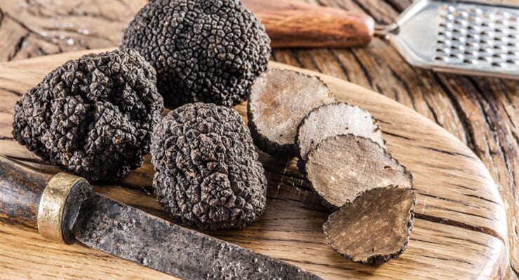 Private Truffle Experience My Tour (5)