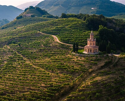 alberto caliman 0ofLRrY riM unsplash