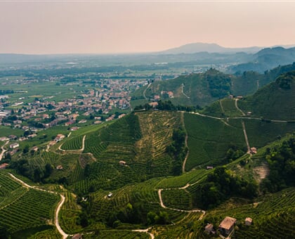 alberto caliman FNOQR9lufeA unsplash