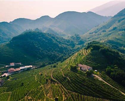 alberto caliman UyL94K 5Pmw unsplash