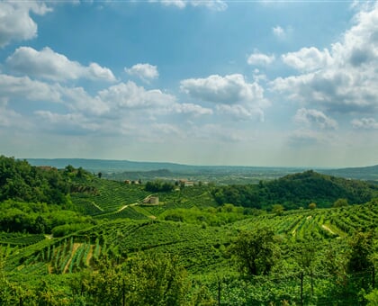 marika sartori 8fNpM7v6XJo unsplash