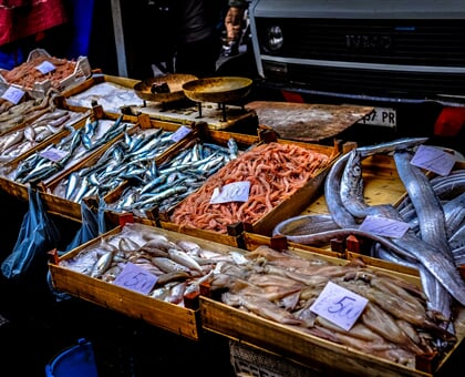 francesco ungaro niaFba12zZI unsplash