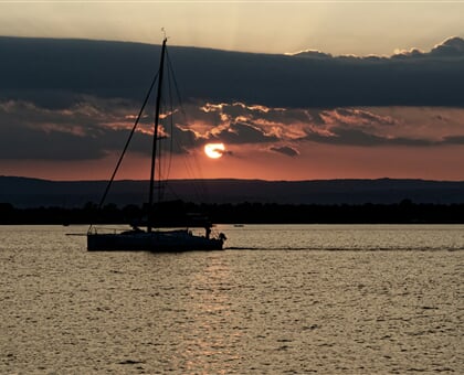 lavi cella OsSpU5VmnME unsplash