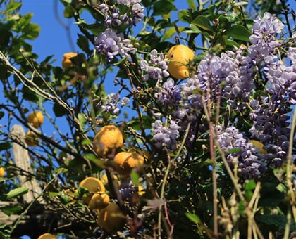 angeline wagner DZKVmjlC3Ao unsplash