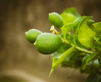 md shazzadul alam p9ixCpAPTuo unsplash