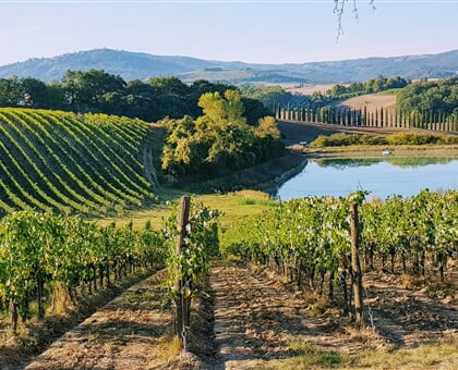 amit janco GGHwCjJ73Kk unsplash