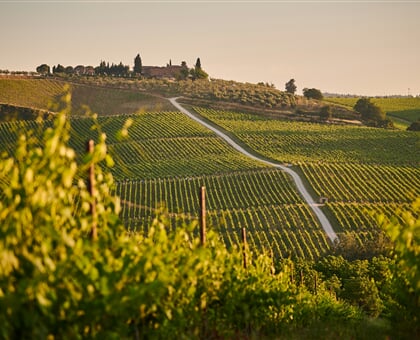 johny goerend pnigODapPek unsplash