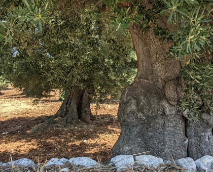 mathilde ro CWwYdFYKIw0 unsplash