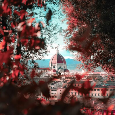 just filip gKaszFHKW9Y unsplash