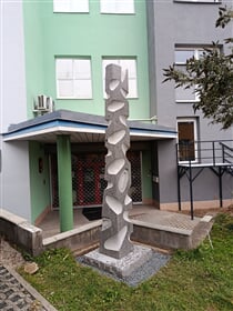 Žirafa