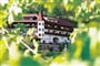 Foto - Murau - Hotel Stigenwirth v Krakaudorfu ****