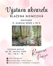 INSTAGRAM Niemcova vystava kavarna
