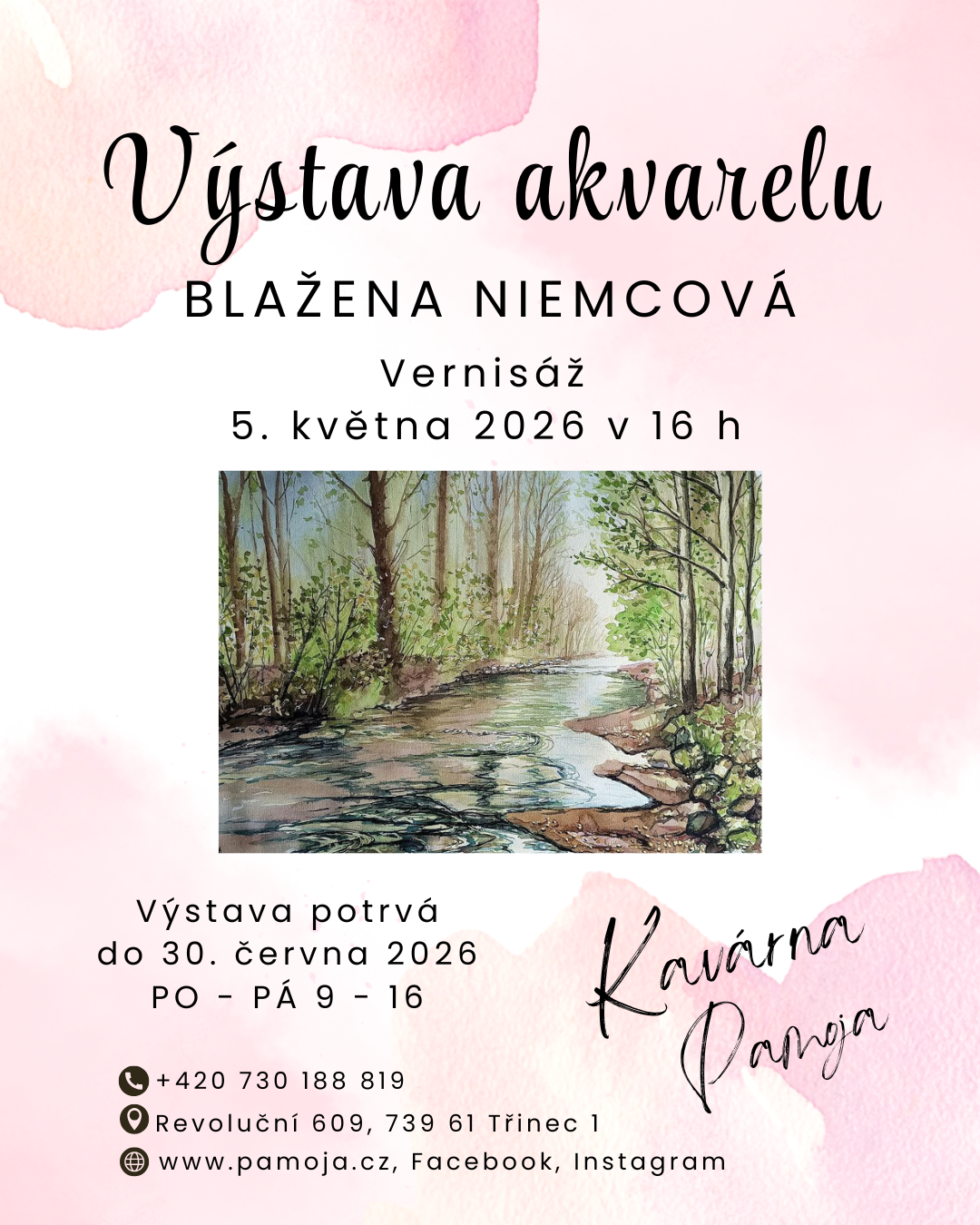 INSTAGRAM Niemcova vystava kavarna