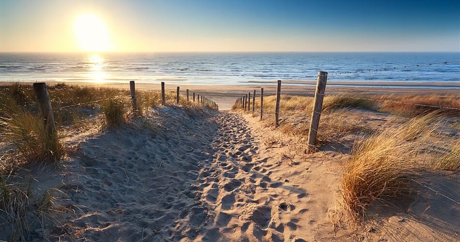 Foto - Holandské pobřeží na kole + AMSTERDAM + RODINNÁ KVĚTINOVÁ FARMA