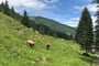 Saalbach Hinterglemm