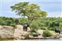 Foto - To nejlepší z Ugandy + HORSKÉ GORILY A ŠIMPANZI + SAFARI V NÁRODNÍCH PARCÍCH