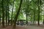 Foto - Královské Holandsko + VÝZNAMNÉ UMĚLECKÉ SBÍRKY + MODERNÍ ROTTERDAM