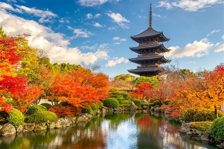 To nejlepší z Japonska + BAREVNÝ PODZIM + TRADIČNÍ LÁZNĚ