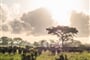 Foto - To nejlepší ze Zanzibaru + SAFARI V TANZANII + KOUPÁNÍ V INDICKÉM OCEÁNU