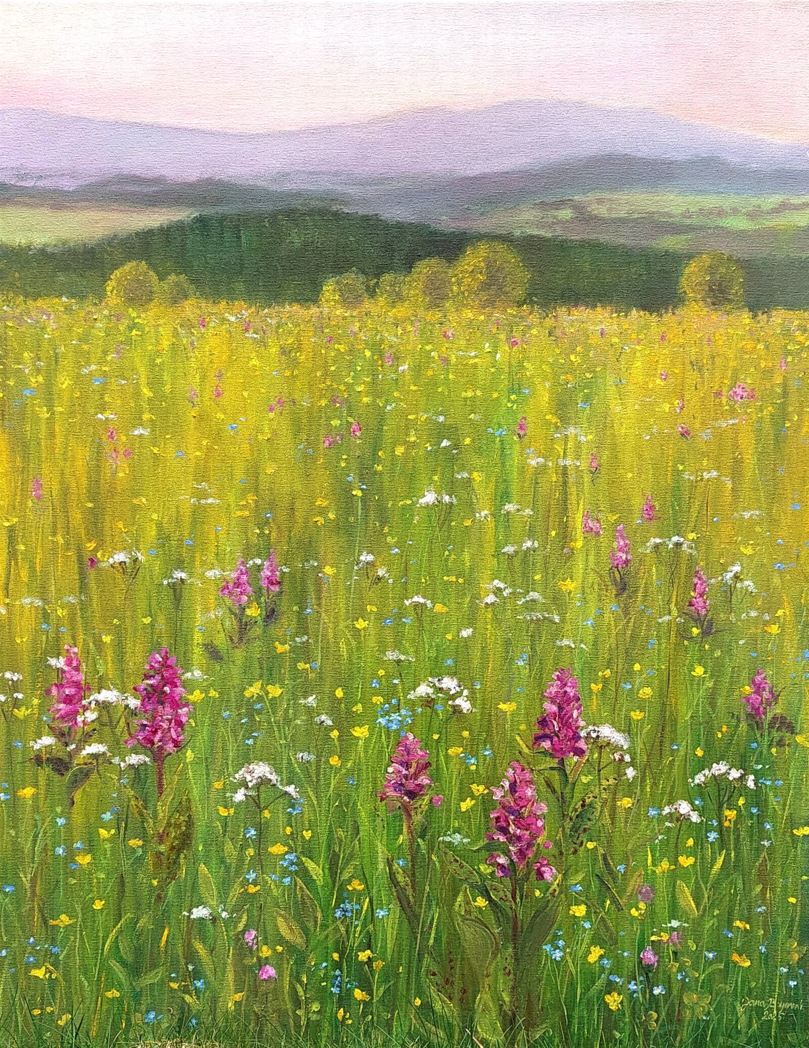 Jana Bayerová: Vyhlídka na Jeseník, 90 × 70 cm