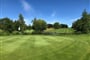 Waldsee Golf Resort Green