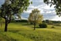 Waldsee Golf Resort Rough