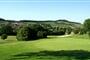 Heitlinger Golf Resort Green