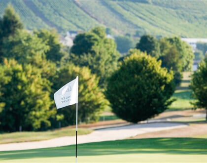 Heitlinger Golf Resort Vlajka