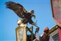 Foto - To nejlepší z Nantes + ATLANTICKÉ POBŘEŽÍ + HISTORICKÝ ZÁBAVNÍ PARK PUY DU FOU