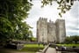 Foto - To nejlepší z Dublinu + MOHÉRSKÉ ÚTESY