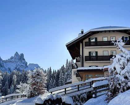 Plank Hotel, Primiero San MArtino (14)