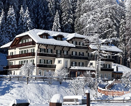 Plank Hotel, Primiero San MArtino (15)