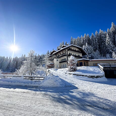 Hotel Plank *** - San Martino di Castrozza