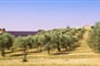 Foto - To nejkrásnější z Provence + MELOUNOVÝ FESTIVAL + CHÂTEAUNEUF-DU-PAPE
