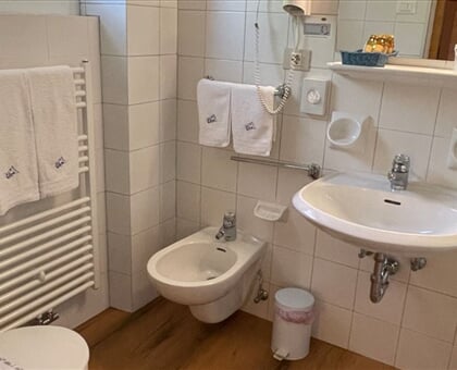 Meisules Hotel, Selva Gardena (6)